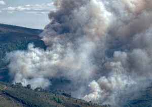 Incendio boschivo in Gironda, Francia