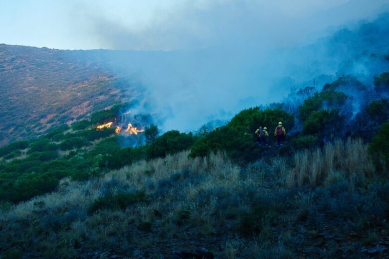 Intervento dei Vigili del Fuoco per incendi a Palermo