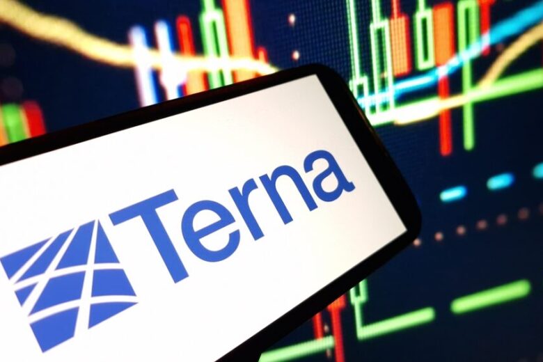 Grafico dei risultati finanziari di Terna