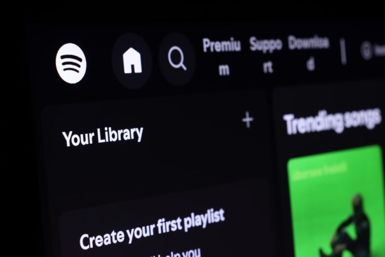 Screenshot dell'assistente Talk to Spotify